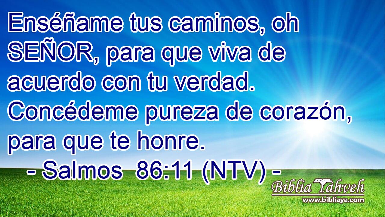 Enséñame tus caminos, oh SEÑOR, para que viva de acuerdo con tu verdad. Concédeme pureza de corazón, para que te honre.