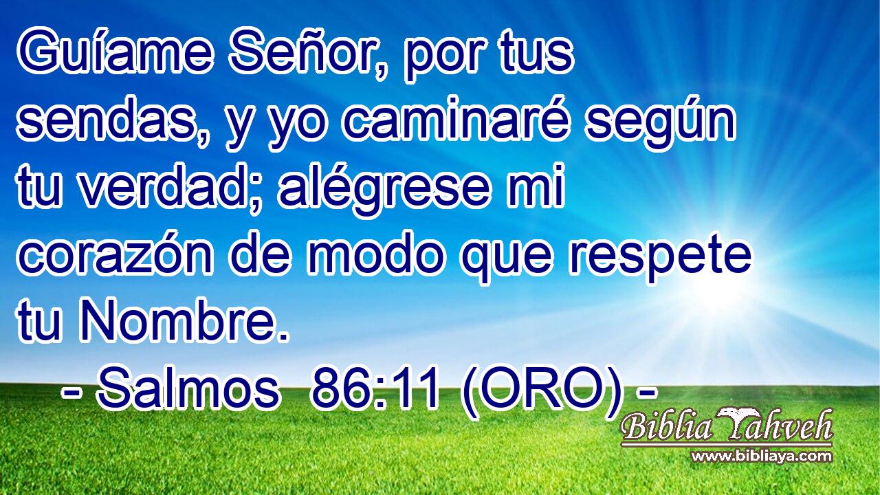  Guíame Señor, por tus sendas, y yo caminaré según tu verdad; alégrese mi corazón de modo que respete tu Nombre. 