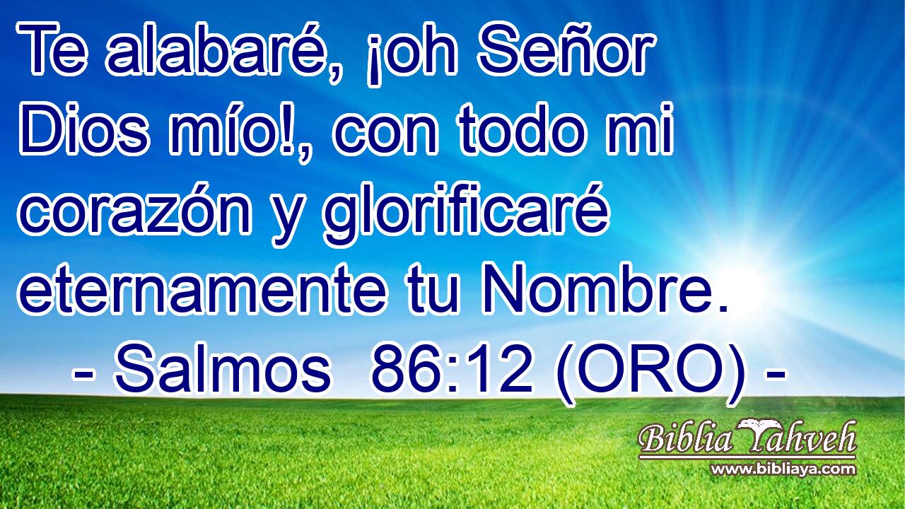  Te alabaré, ¡oh Señor Dios mío!, con todo mi corazón y glorificaré eternamente tu Nombre. 
