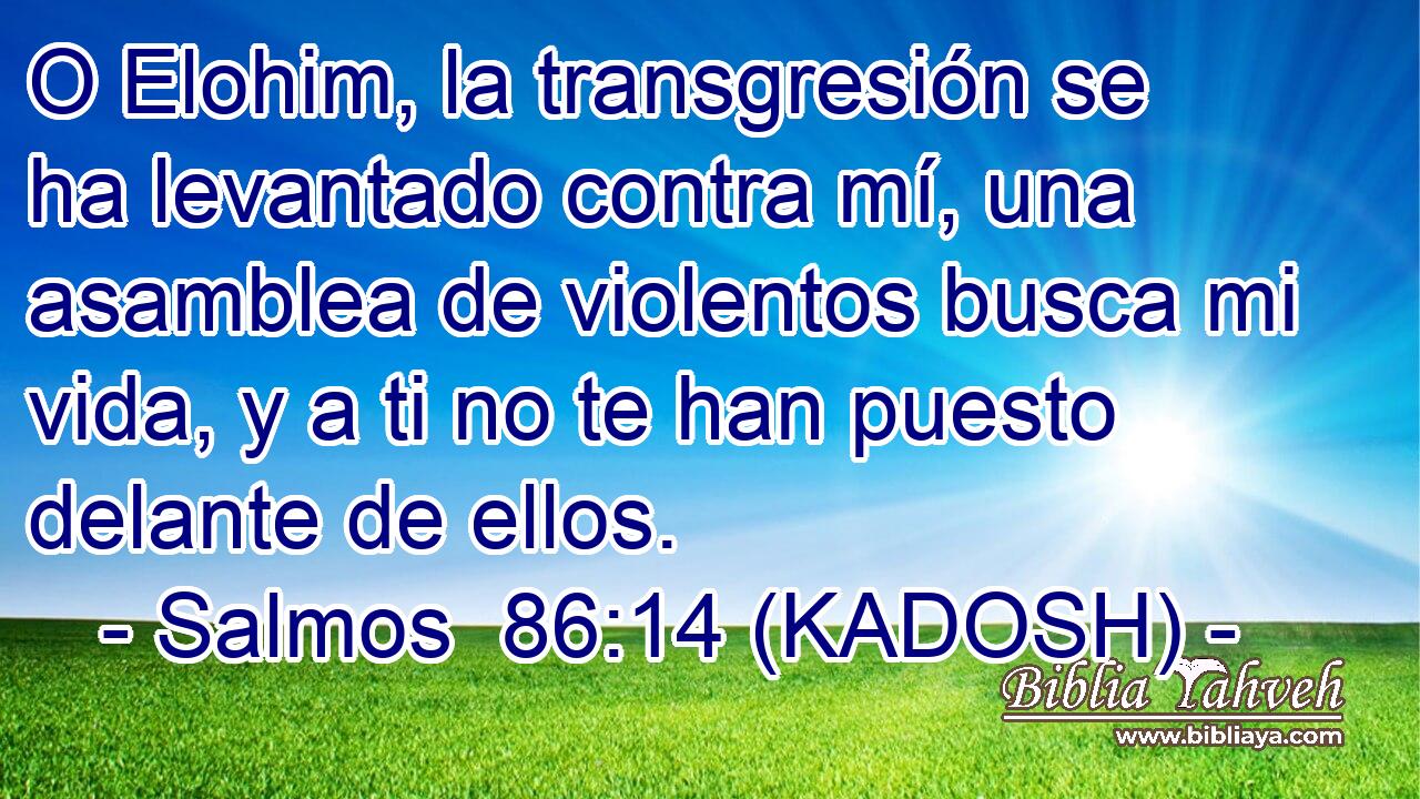  O Elohim, la transgresión se ha levantado contra mí, una asamblea de violentos busca mi vida, y a ti no te han puesto delante de ellos. 