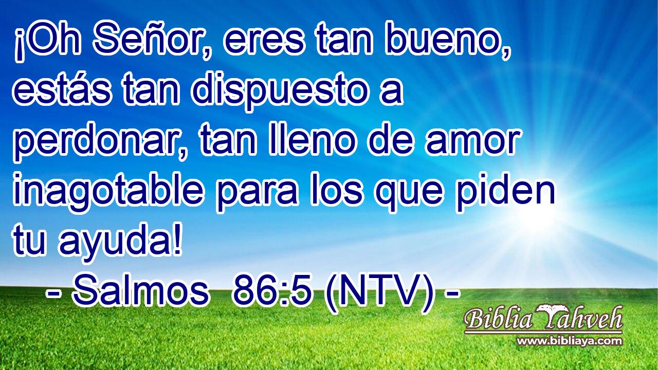 ¡Oh Señor, eres tan bueno, estás tan dispuesto a perdonar, tan lleno de amor inagotable para los que piden tu ayuda!