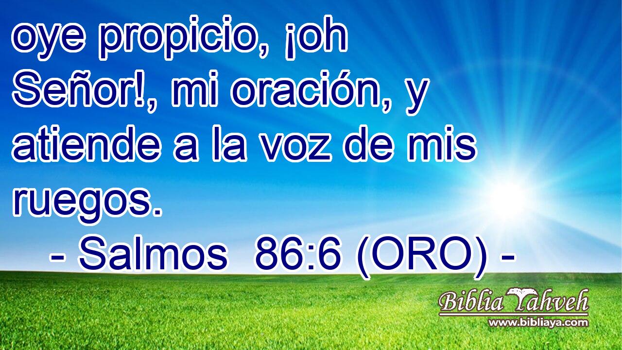  oye propicio, ¡oh Señor!, mi oración, y atiende a la voz de mis ruegos. 