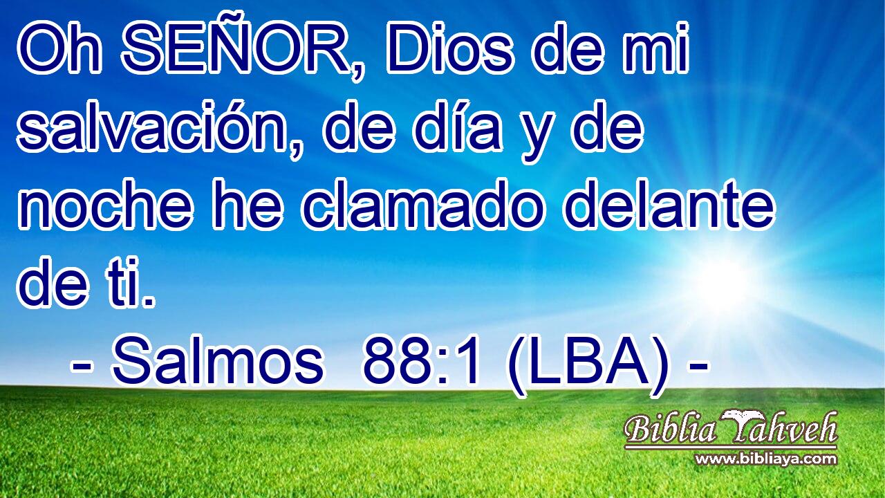 Oh SEÑOR, Dios de mi salvación, de día y de noche he clamado delante de ti.