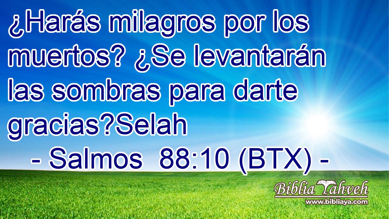 ¿Harás milagros por los muertos? ¿Se levantarán las sombras para darte gracias?Selah