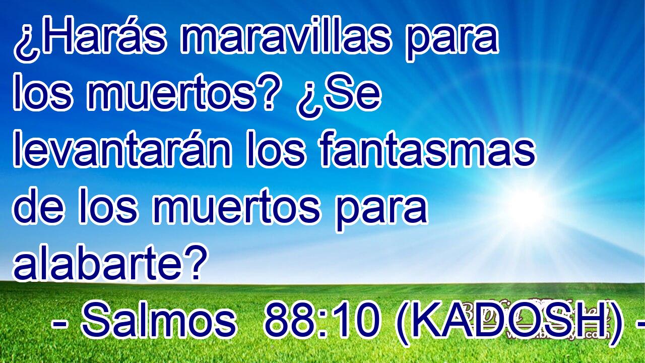  ¿Harás maravillas para los muertos? ¿Se levantarán los fantasmas de los muertos para alabarte? 
