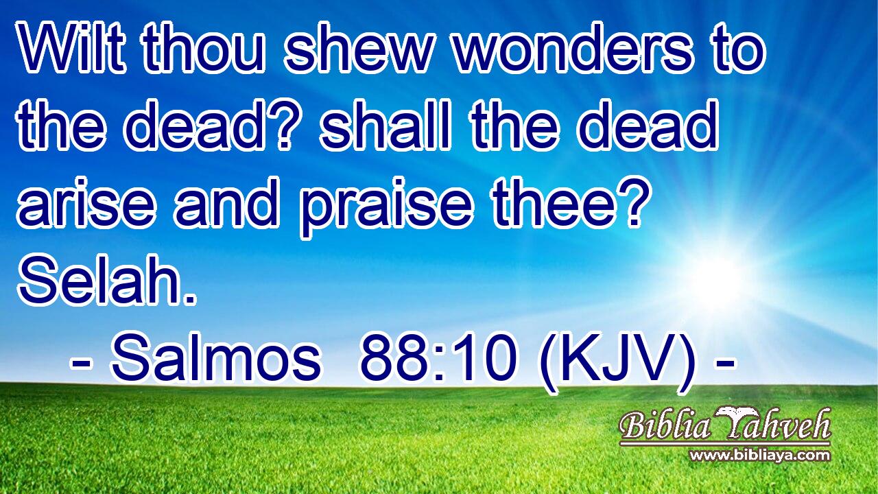 Wilt thou shew wonders to the dead? shall the dead arise and praise thee? Selah.
