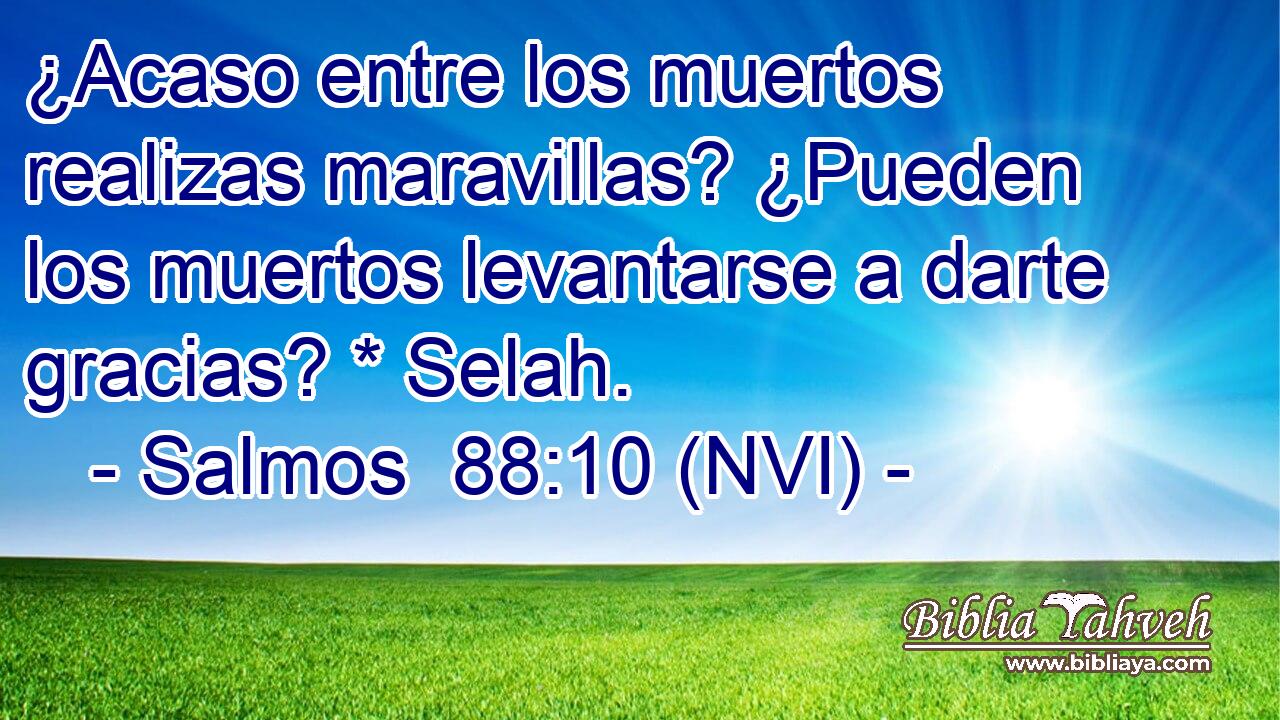  ¿Acaso entre los muertos realizas maravillas? ¿Pueden los muertos levantarse a darte gracias? * Selah. 