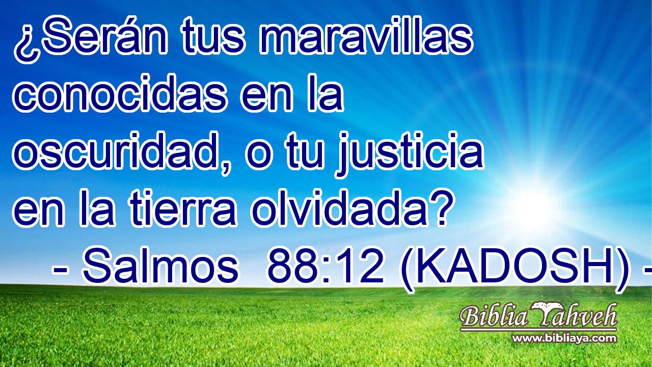  ¿Serán tus maravillas conocidas en la oscuridad, o tu justicia en la tierra olvidada? 