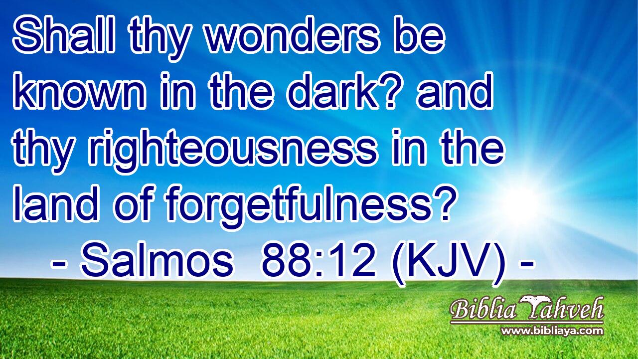 Shall thy wonders be known in the dark? and thy righteousness in the land of forgetfulness?