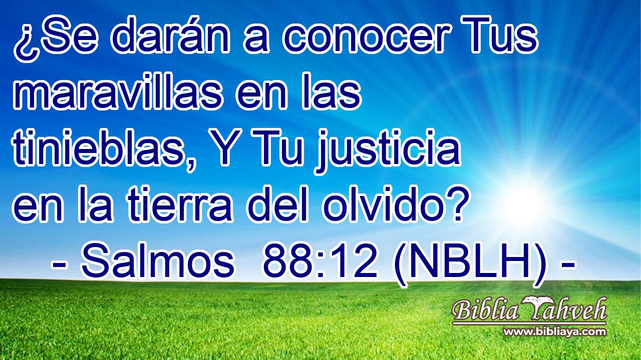  ¿Se darán a conocer Tus maravillas en las tinieblas, Y Tu justicia en la tierra del olvido? 