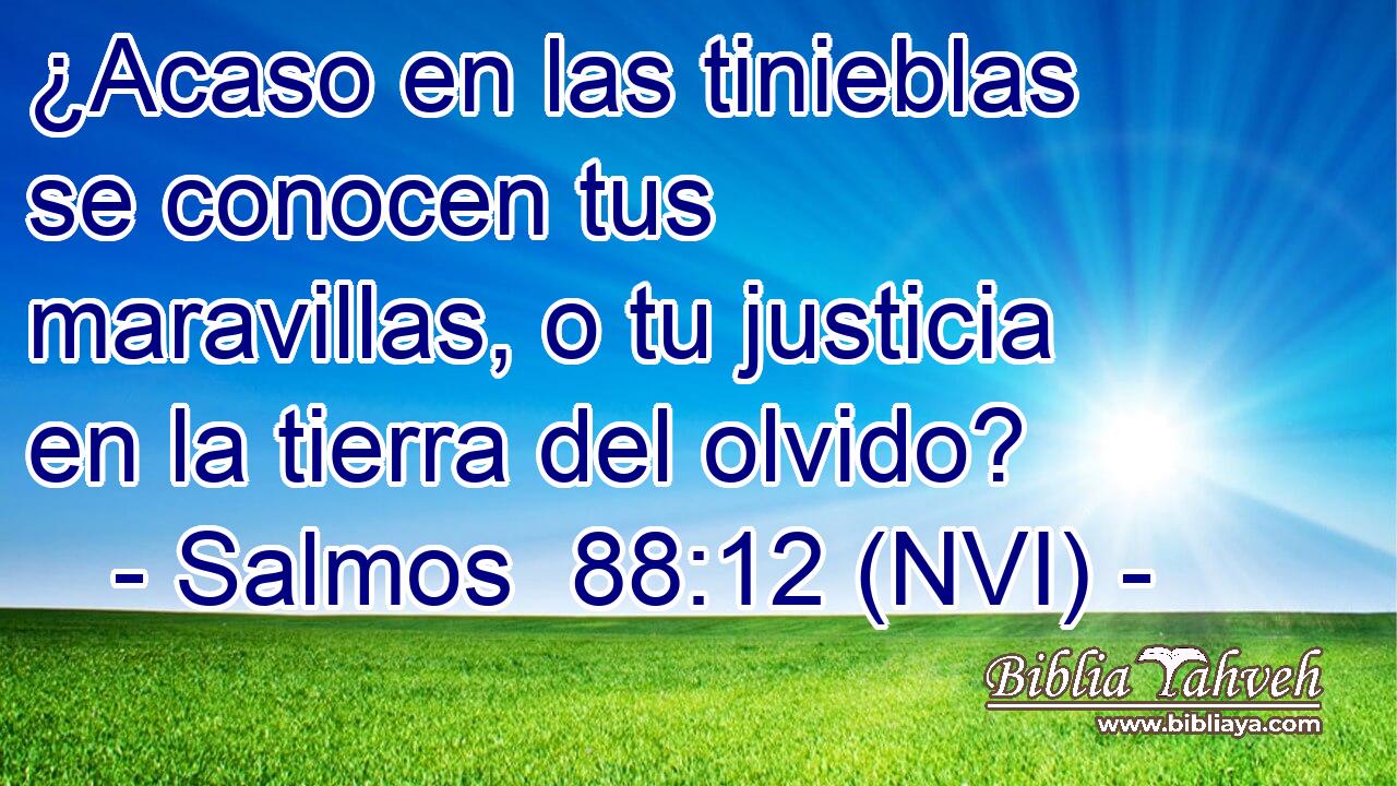  ¿Acaso en las tinieblas se conocen tus maravillas, o tu justicia en la tierra del olvido? 