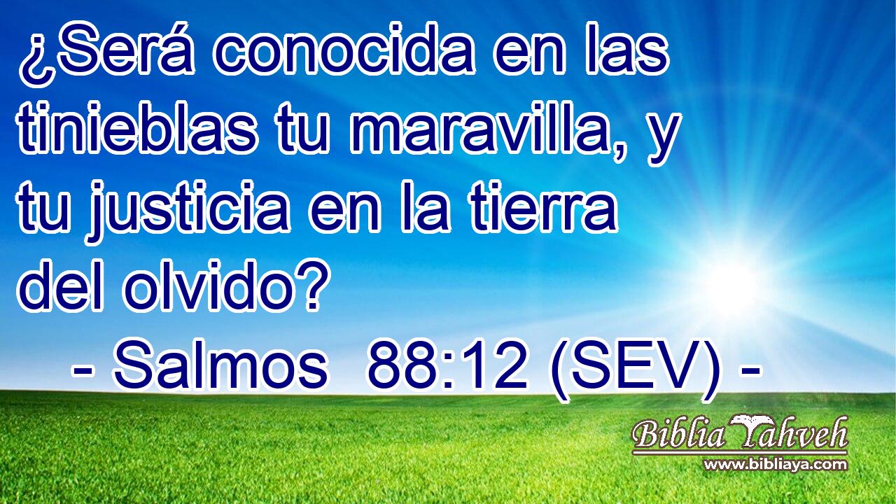¿Será conocida en las tinieblas tu maravilla, y tu justicia en la tierra del olvido?