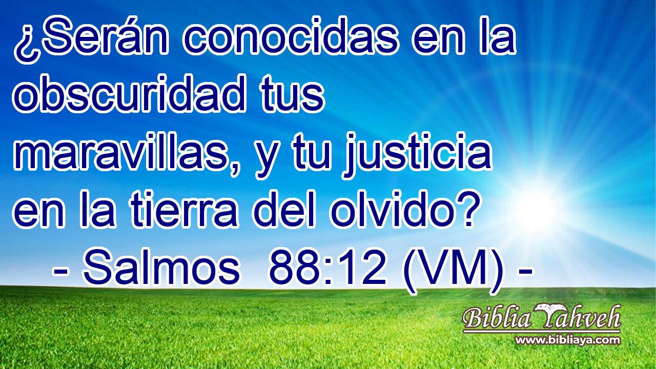  ¿Serán conocidas en la obscuridad tus maravillas, y tu justicia en la tierra del olvido? 