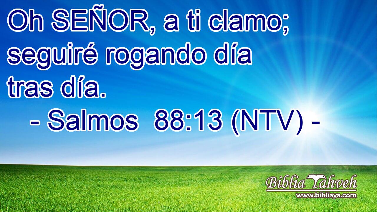 Oh SEÑOR, a ti clamo; seguiré rogando día tras día.