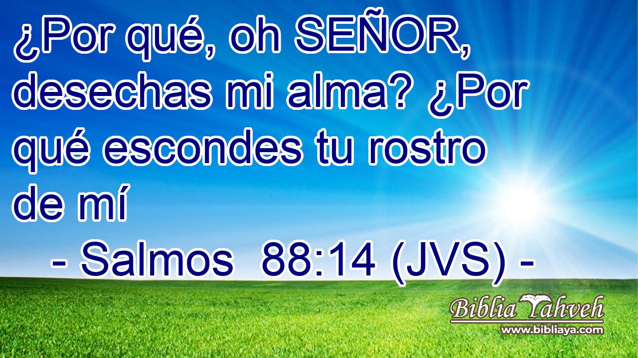 ¿Por qué, oh SEÑOR, desechas mi alma? ¿Por qué escondes tu rostro de mí