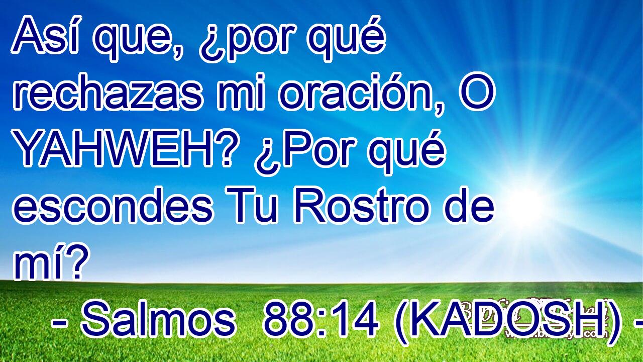  Así que, ¿por qué rechazas mi oración, O YAHWEH? ¿Por qué escondes Tu Rostro de mí? 