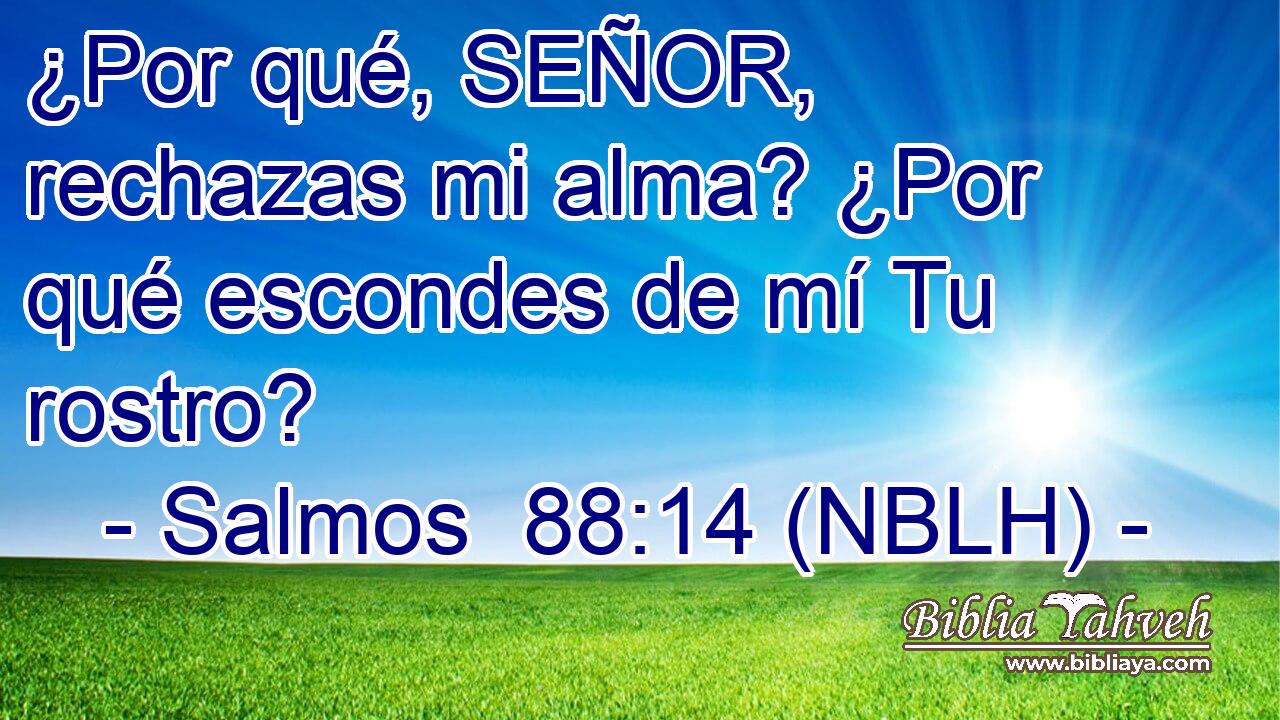  ¿Por qué, SEÑOR, rechazas mi alma? ¿Por qué escondes de mí Tu rostro? 