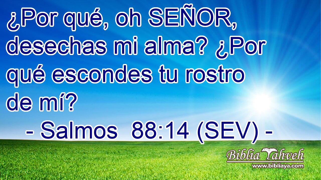 ¿Por qué, oh SEÑOR, desechas mi alma? ¿Por qué escondes tu rostro de mí?