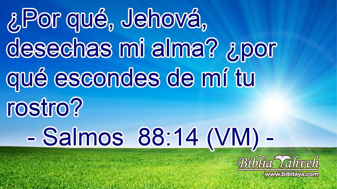  ¿Por qué, Jehová, desechas mi alma? ¿por qué escondes de mí tu rostro? 