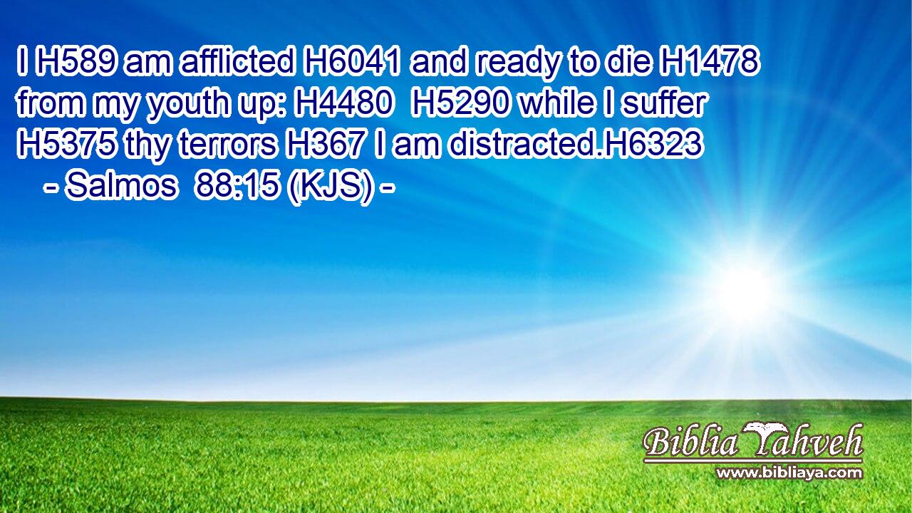 I H589 am afflicted H6041 and ready to die H1478 from my youth up: H4480  H5290 while I suffer H5375 thy terrors H367 I am distracted.H6323