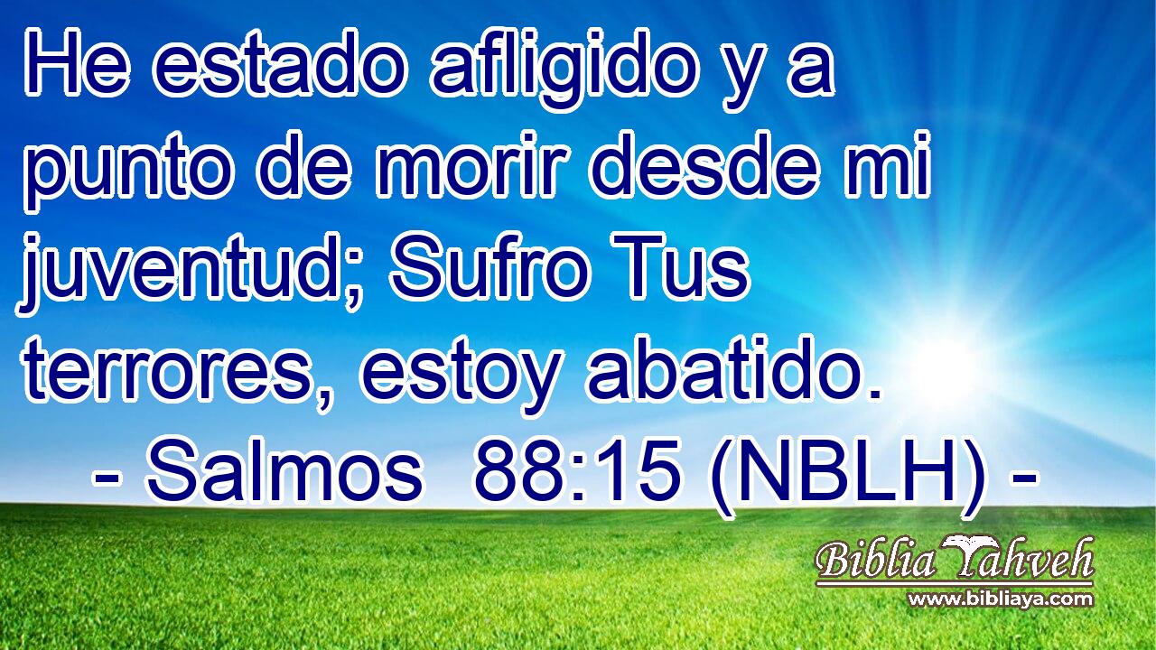  He estado afligido y a punto de morir desde mi juventud; Sufro Tus terrores, estoy abatido. 