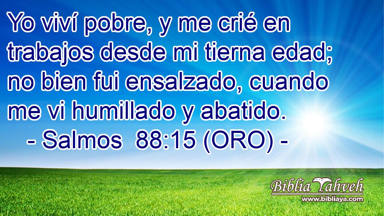  Yo viví pobre, y me crié en trabajos desde mi tierna edad; no bien fui ensalzado, cuando me vi humillado y abatido. 