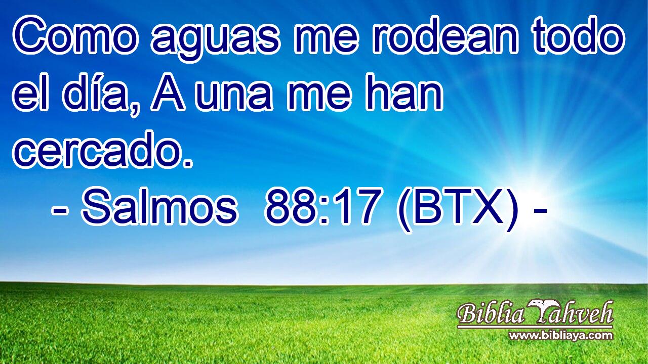Como aguas me rodean todo el día, A una me han cercado.