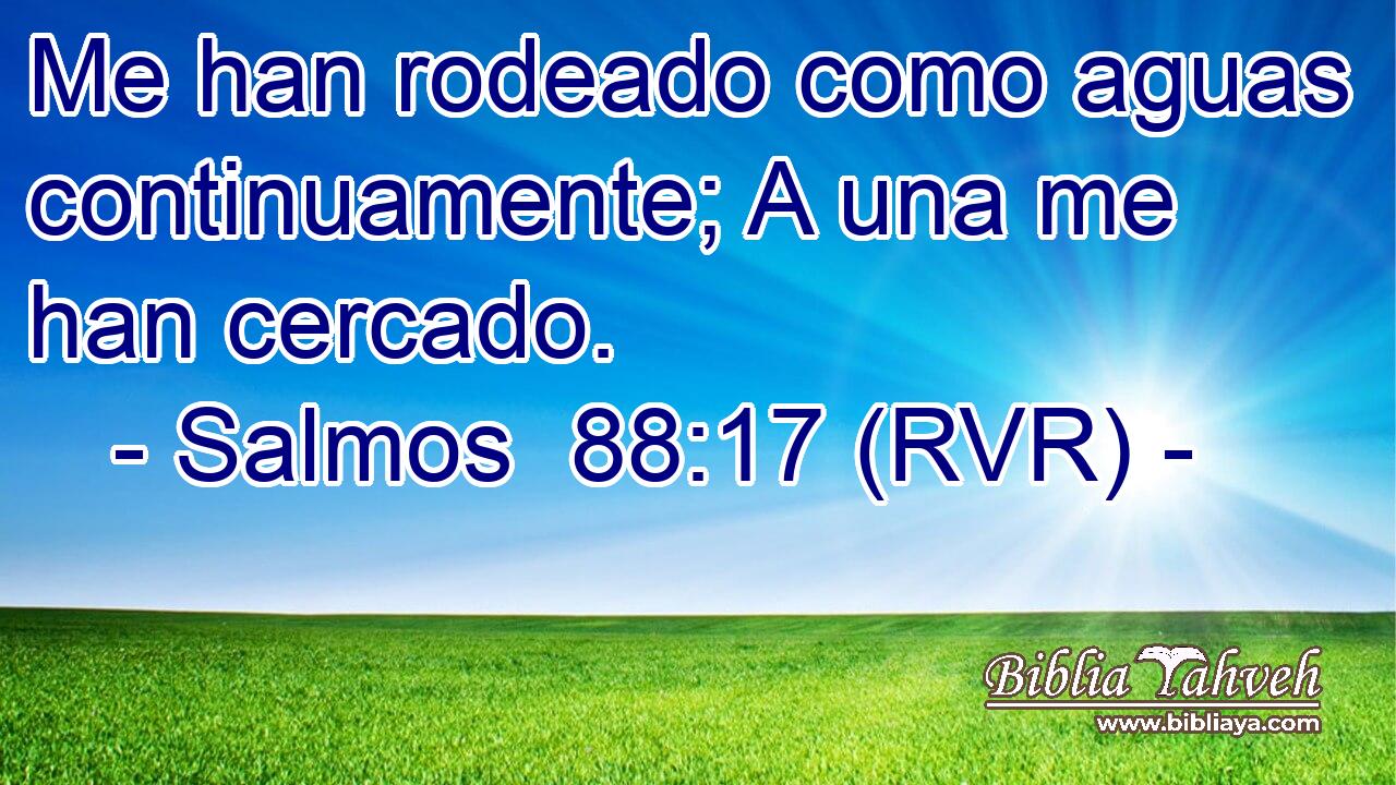 Me han rodeado como aguas continuamente; A una me han cercado.