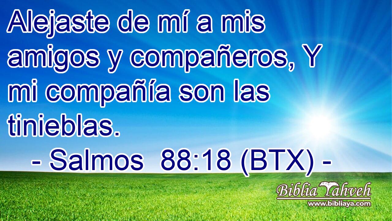 Alejaste de mí a mis amigos y compañeros, Y mi compañía son las tinieblas.