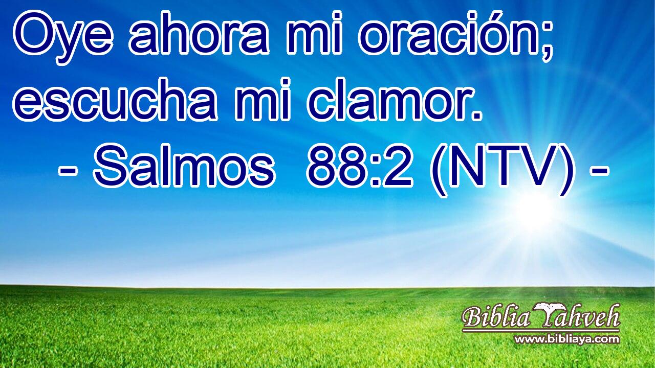 Oye ahora mi oración; escucha mi clamor.