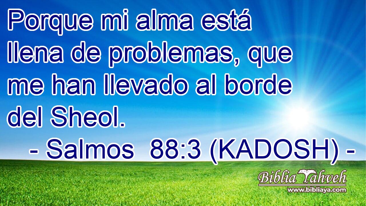  Porque mi alma está llena de problemas, que me han llevado al borde del Sheol. 