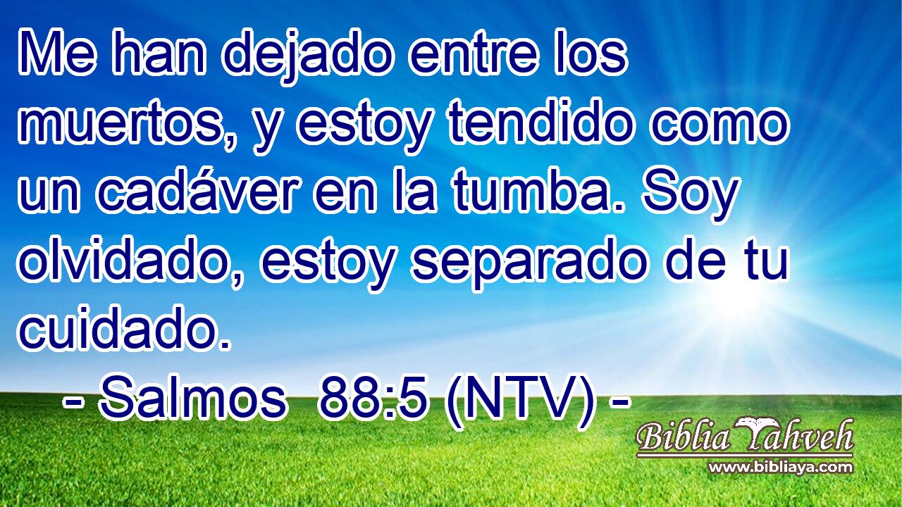 Me han dejado entre los muertos, y estoy tendido como un cadáver en la tumba. Soy olvidado, estoy separado de tu cuidado.