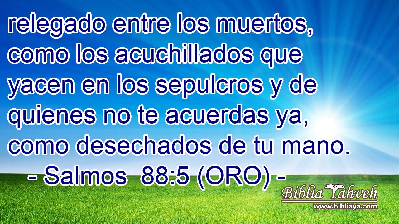  relegado entre los muertos, como los acuchillados que yacen en los sepulcros y de quienes no te acuerdas ya, como desechados de tu mano. 