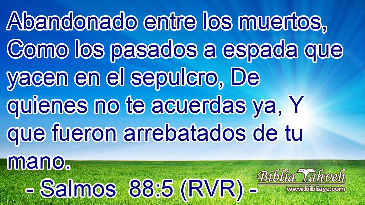 Abandonado entre los muertos, Como los pasados a espada que yacen en el sepulcro, De quienes no te acuerdas ya, Y que fueron arrebatados de tu mano.