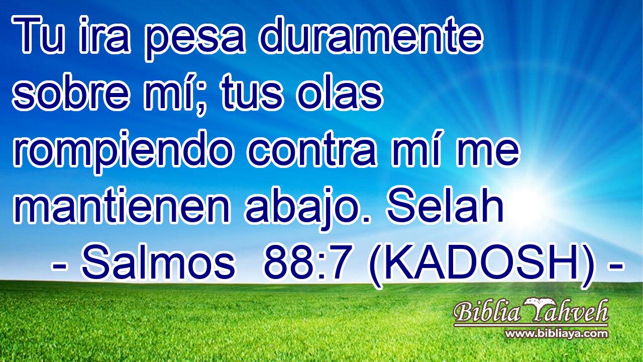  Tu ira pesa duramente sobre mí; tus olas rompiendo contra mí me mantienen abajo. Selah 