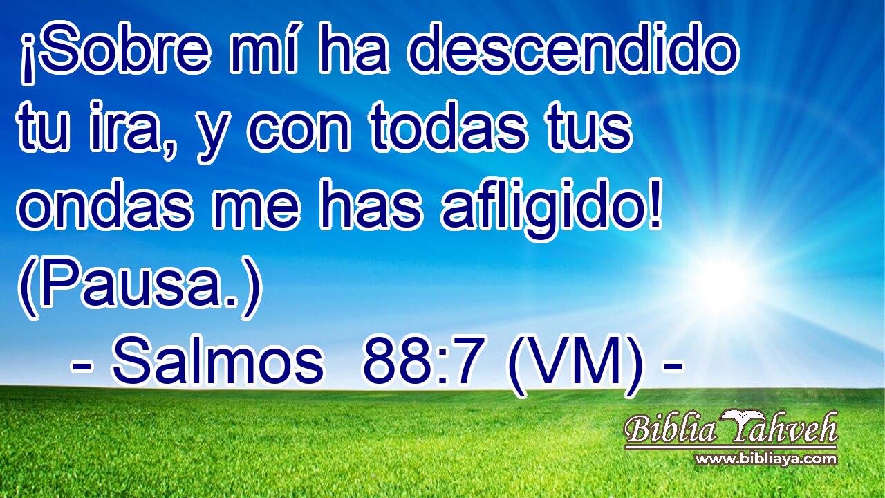  ¡Sobre mí ha descendido tu ira, y con todas tus ondas me has afligido! (Pausa.) 