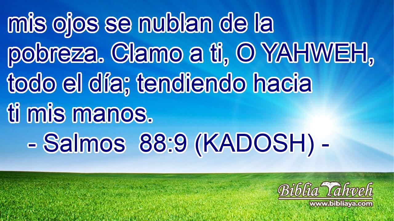  mis ojos se nublan de la pobreza. Clamo a ti, O YAHWEH, todo el día; tendiendo hacia ti mis manos. 