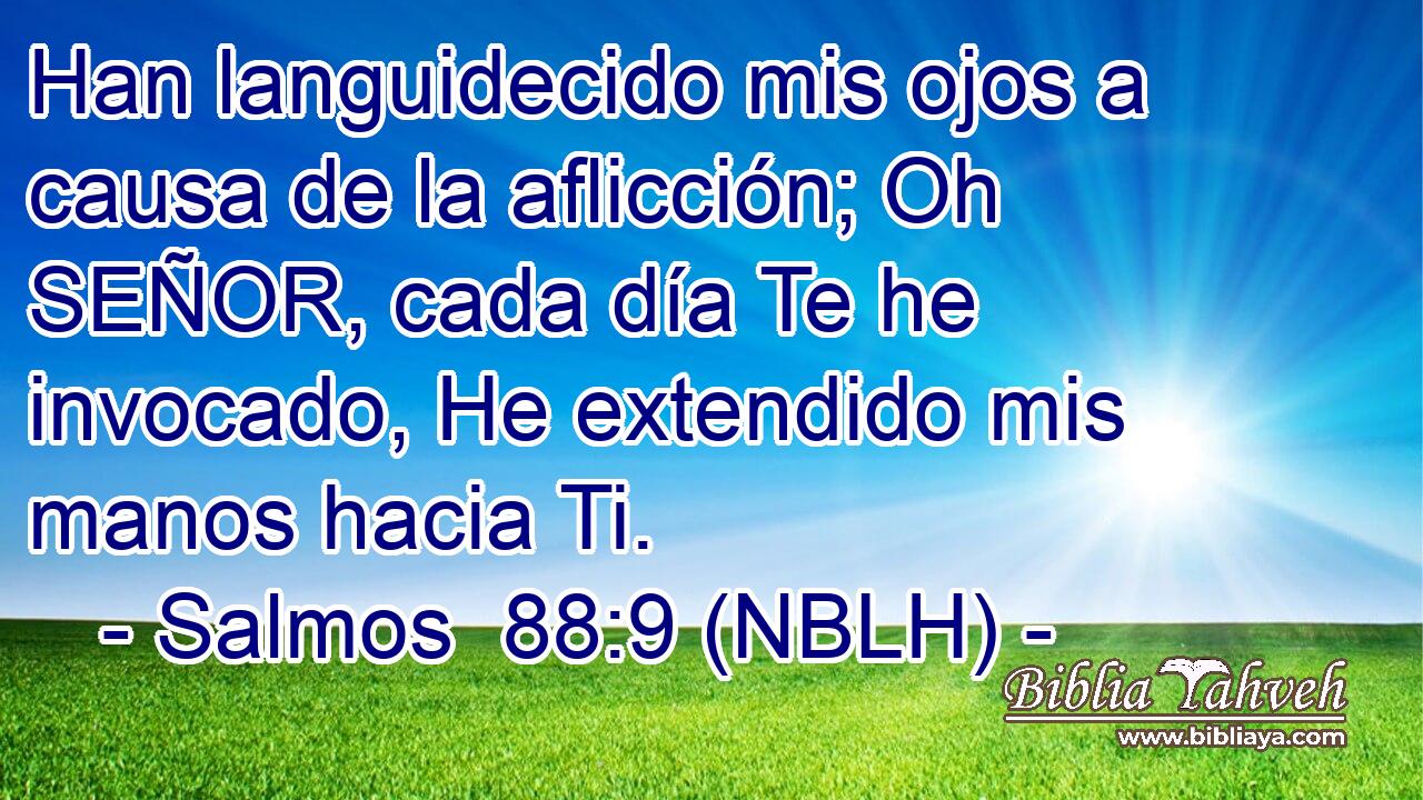  Han languidecido mis ojos a causa de la aflicción; Oh SEÑOR, cada día Te he invocado, He extendido mis manos hacia Ti. 