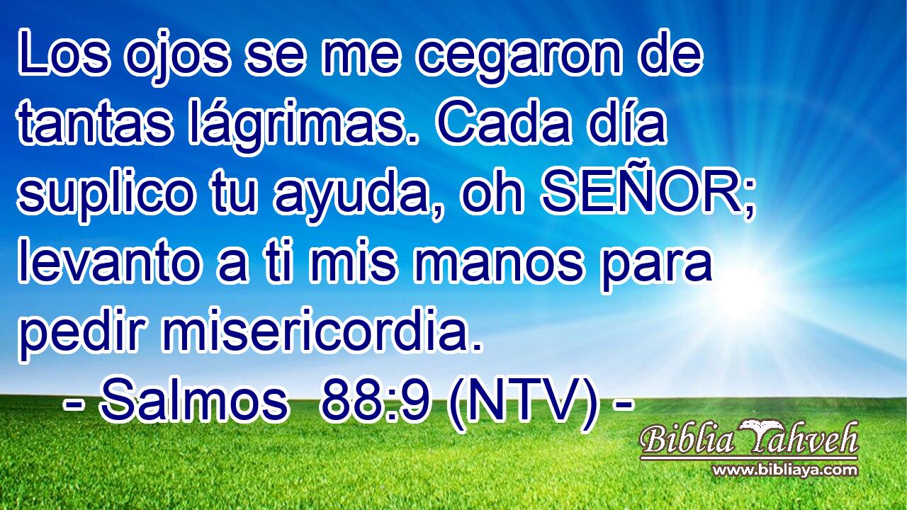 Los ojos se me cegaron de tantas lágrimas. Cada día suplico tu ayuda, oh SEÑOR; levanto a ti mis manos para pedir misericordia.