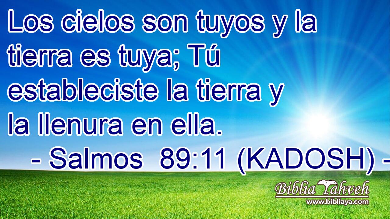  Los cielos son tuyos y la tierra es tuya; Tú estableciste la tierra y la llenura en ella. 