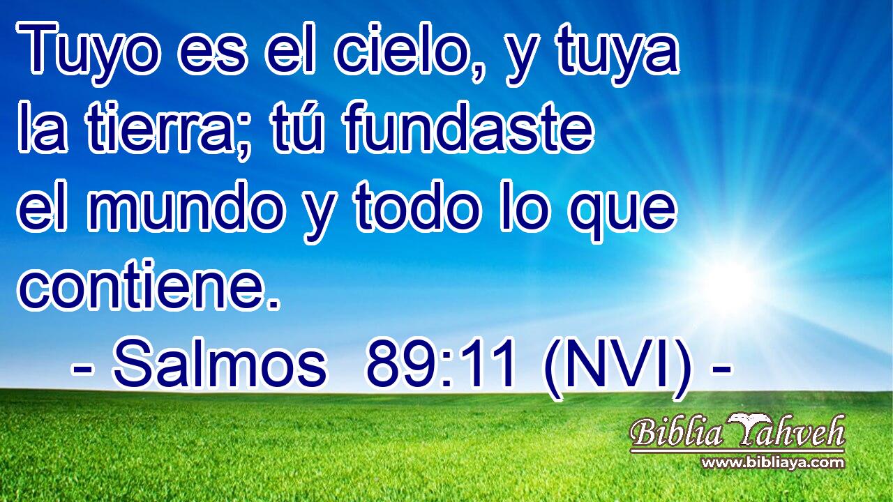  Tuyo es el cielo, y tuya la tierra; tú fundaste el mundo y todo lo que contiene. 