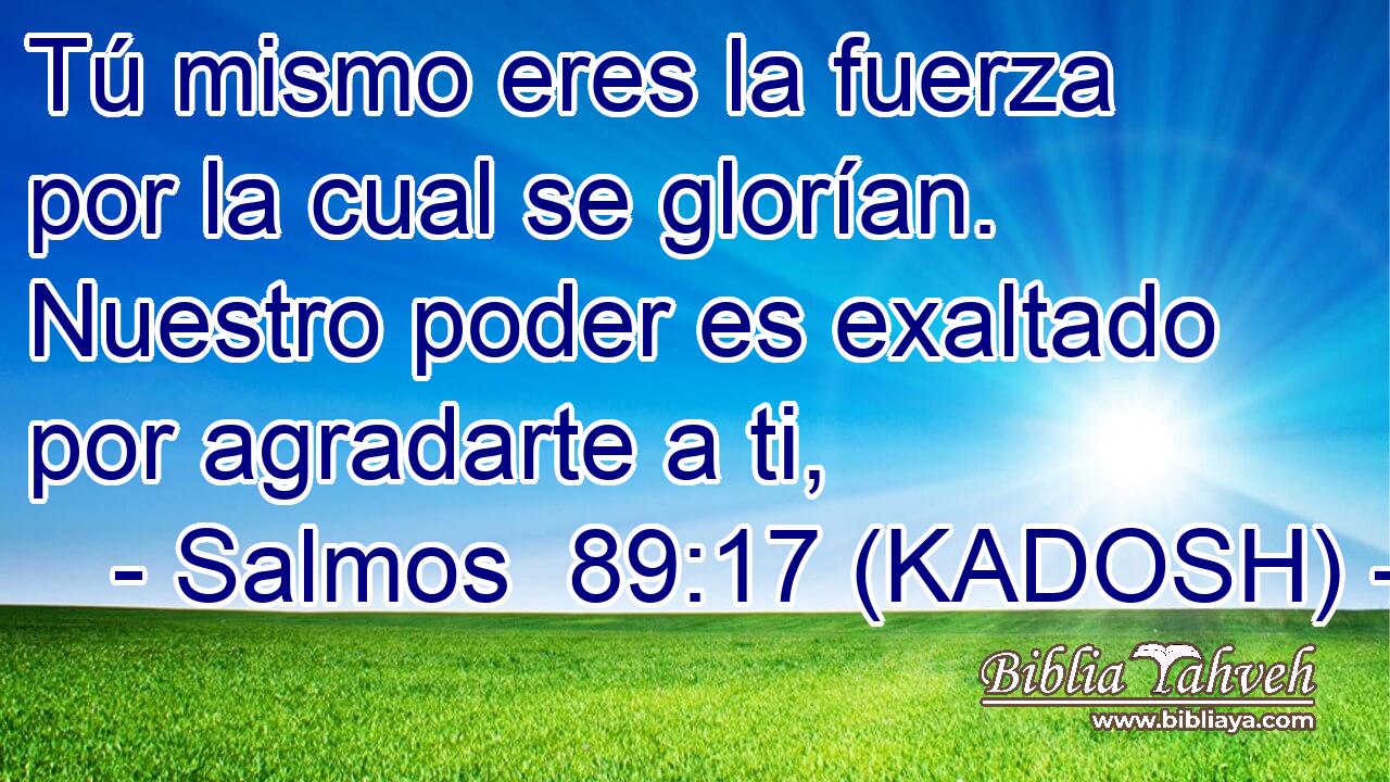  Tú mismo eres la fuerza por la cual se glorían. Nuestro poder es exaltado por agradarte a ti, 