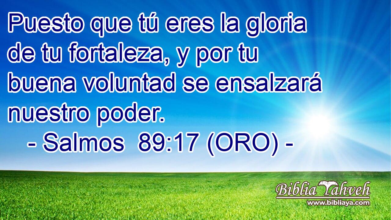  Puesto que tú eres la gloria de tu fortaleza, y por tu buena voluntad se ensalzará nuestro poder. 
