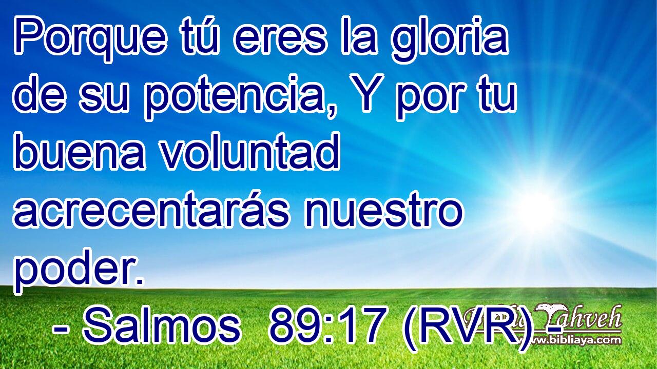 Porque tú eres la gloria de su potencia, Y por tu buena voluntad acrecentarás nuestro poder.