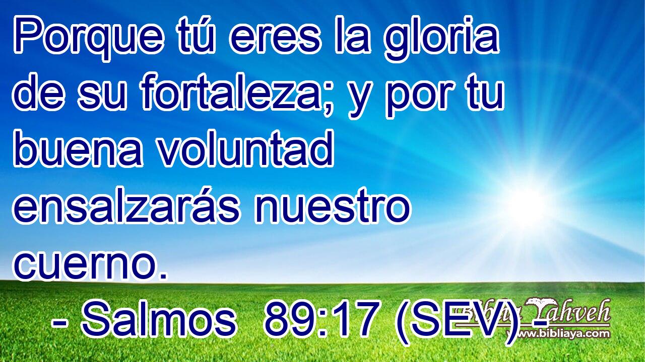 Porque tú eres la gloria de su fortaleza; y por tu buena voluntad ensalzarás nuestro cuerno.