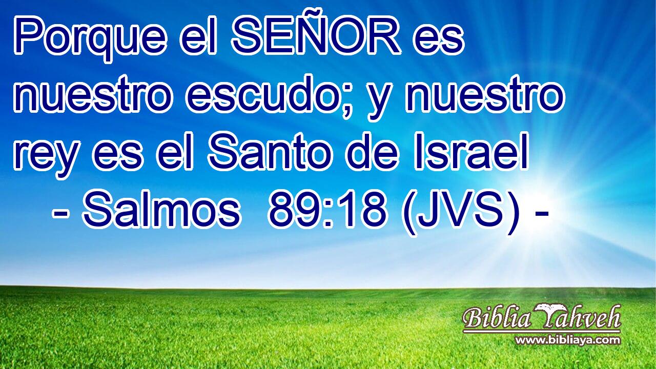 Porque el SEÑOR es nuestro escudo; y nuestro rey es el Santo de Israel