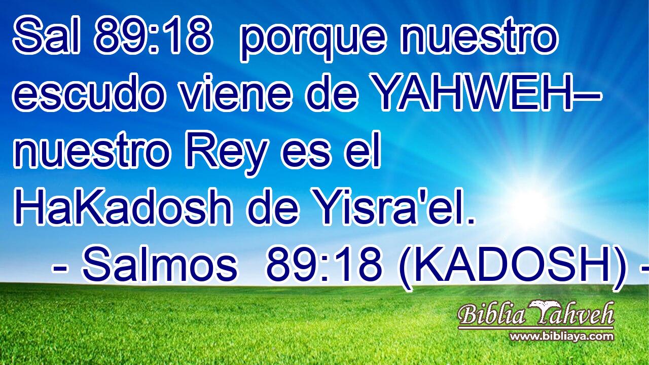  porque nuestro escudo viene de YAHWEH– nuestro Rey es el HaKadosh de Yisra'el. 