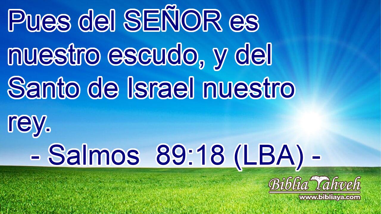 Pues del SEÑOR es nuestro escudo, y del Santo de Israel nuestro rey.