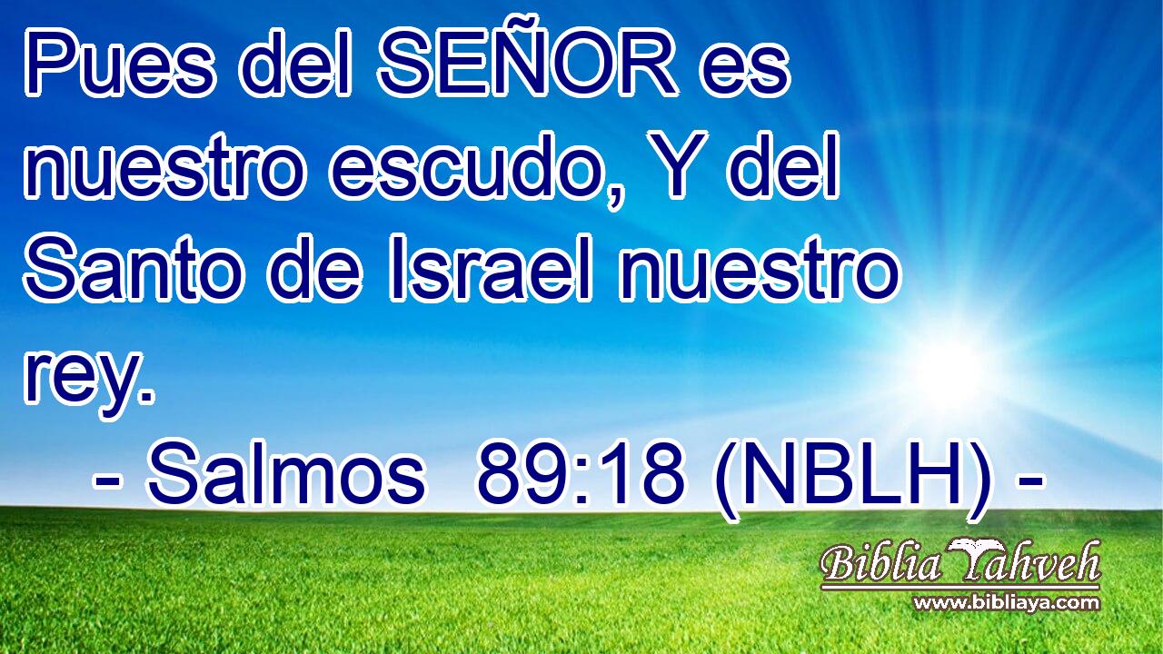  Pues del SEÑOR es nuestro escudo, Y del Santo de Israel nuestro rey. 