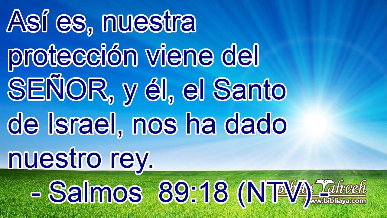 Así es, nuestra protección viene del SEÑOR, y él, el Santo de Israel, nos ha dado nuestro rey.